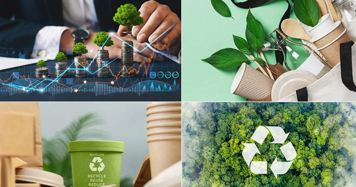 Sustainable Lifestyle Choices That Benefit Your Startup Brand