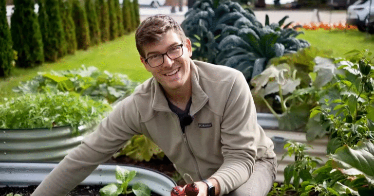Sustainable Gardening Made Simple with Hydroponics
